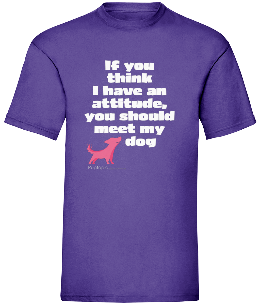 Attitude t shirt - Unisex