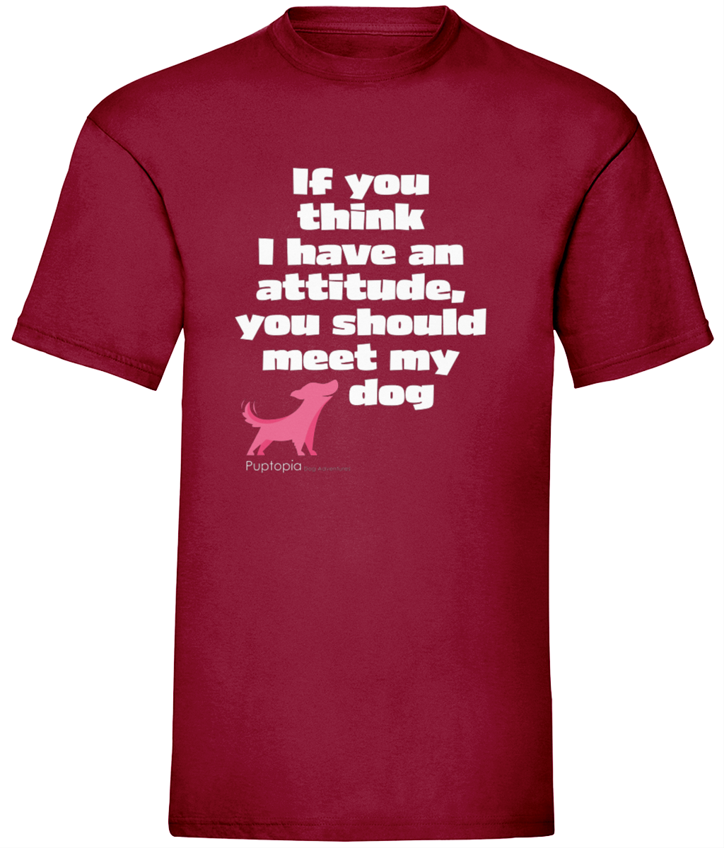 Attitude t shirt - Unisex
