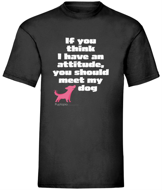 Attitude t shirt - Unisex