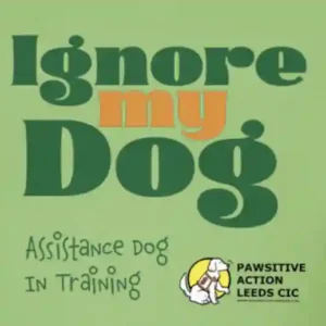 Assistance Dog Gear