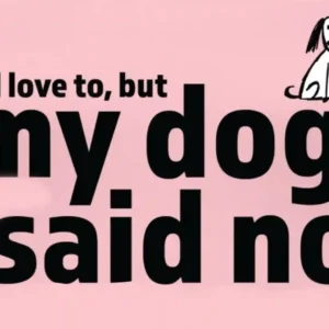 My Dog Said No/We need Space